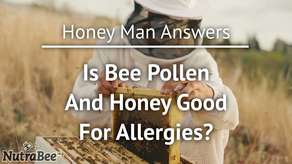 Is Bee Pollen and Honey Good for Allergies?