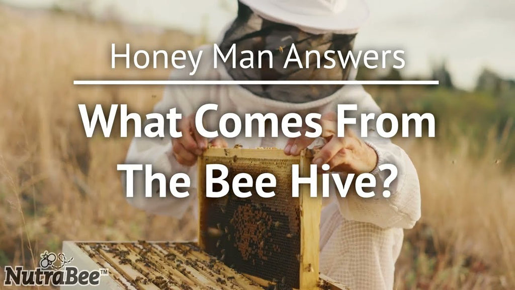 What Comes From the Beehive?