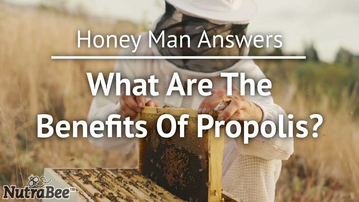 What Are the Benefits of Propolis?