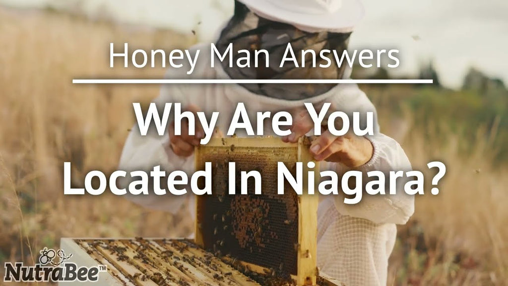 Why Is NutraBee Located in Niagara?