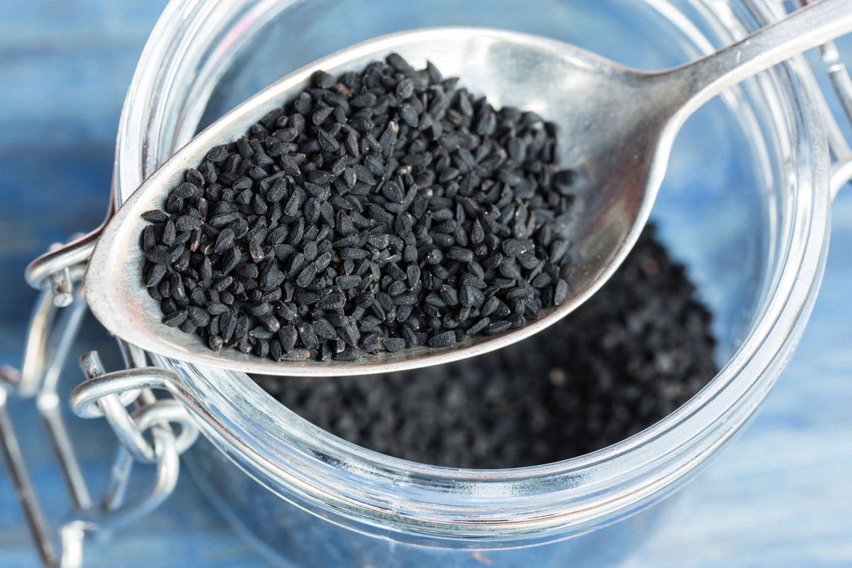 Black Seed Benefits for Immune Health & Wellness
